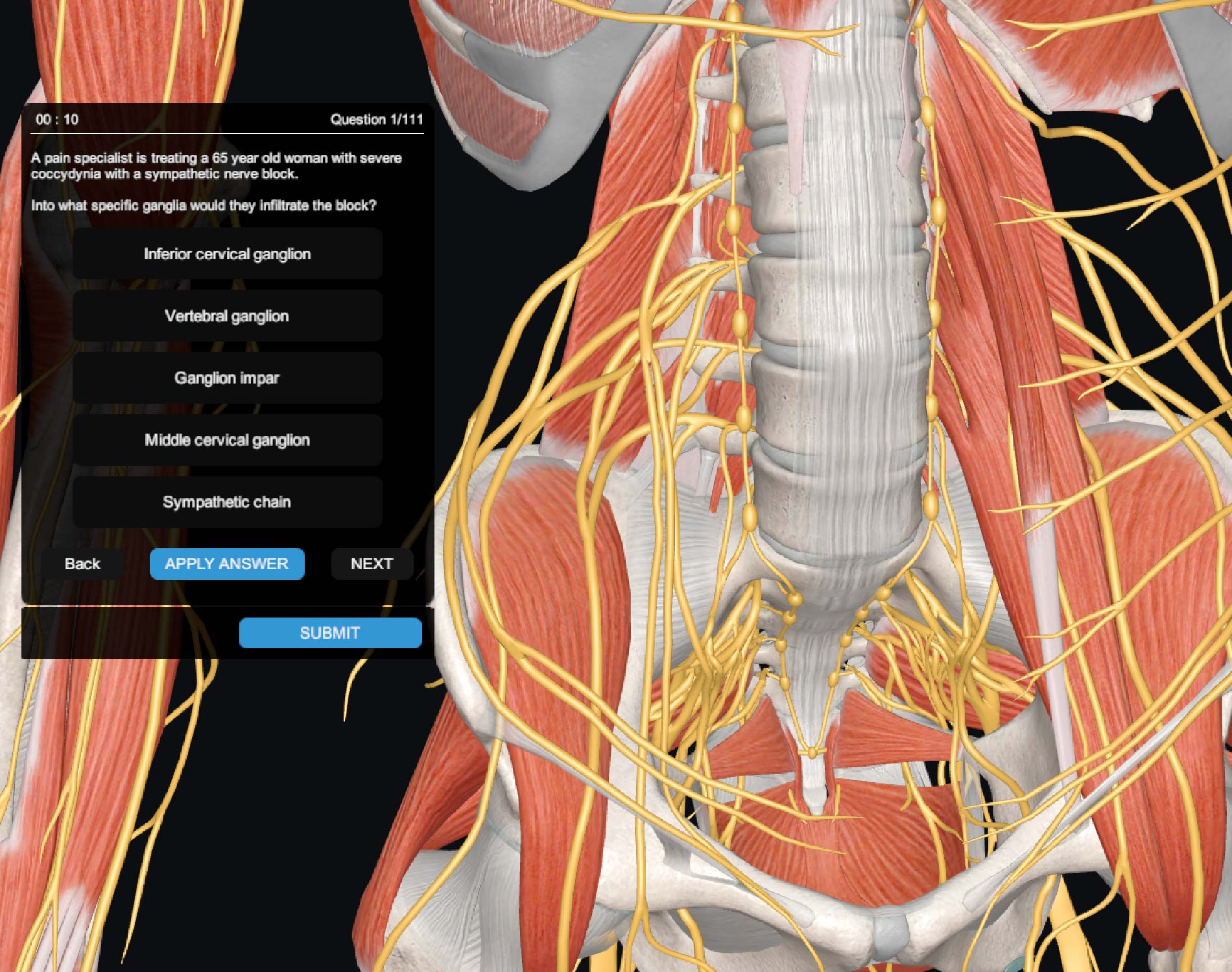 Formative Assessment | Quiz