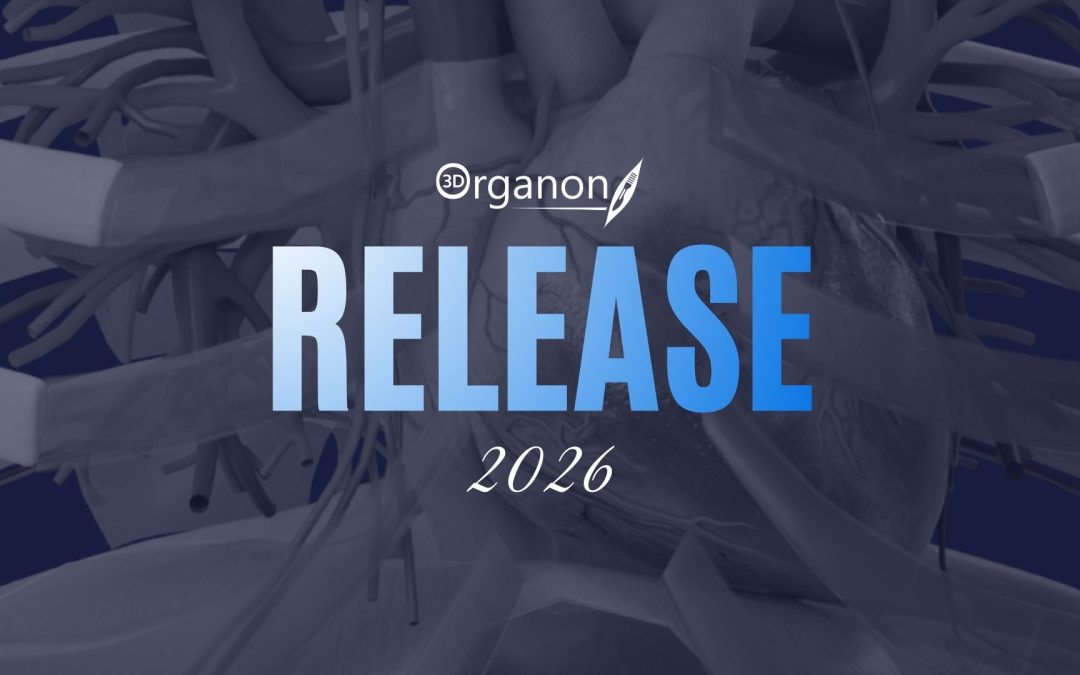 3D Organon 2026 Release