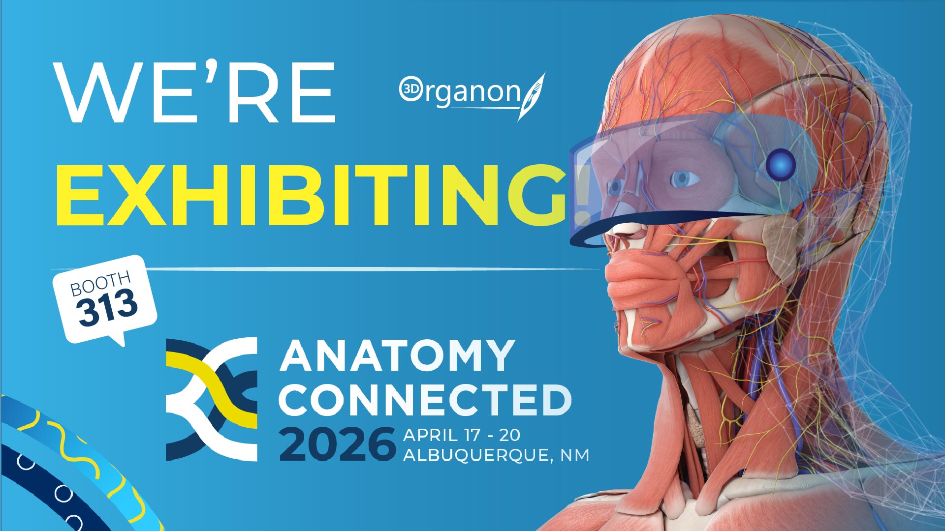 3D Organon will be attending Anatomy Connected (AAA) 2026, taking place in Albuquerque, New Mexico, April 17–20.