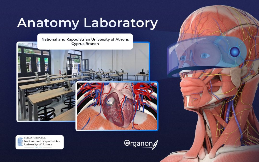 The University of Athens Implements 3D Organon to Create Innovative Anatomy Laboratories