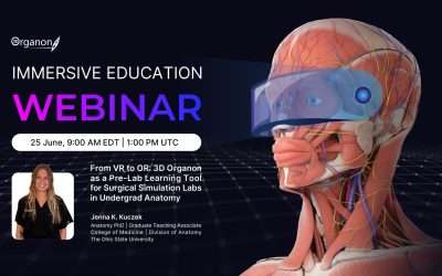 From VR to OR: Using 3D Organon as a Pre-Lab Learning Tool for Surgical Simulation Labs in Undergraduate Anatomy