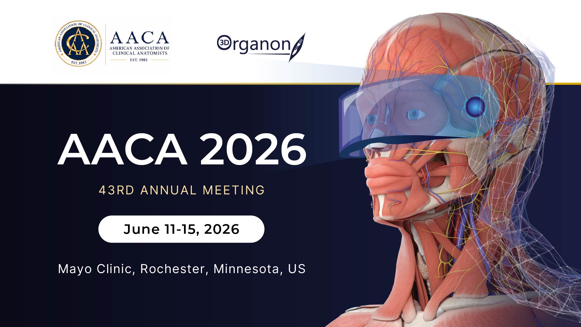 3D Organon will be attending AACA 2026, the 43rd Annual Meeting of the American Association of Clinical Anatomists
