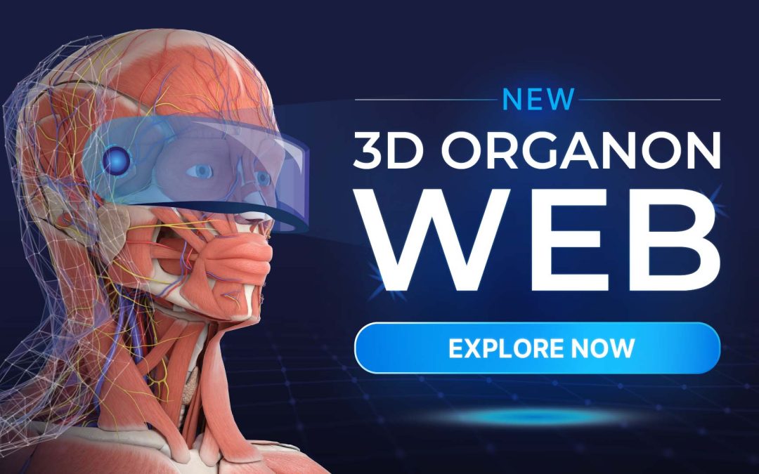 New 3D Organon Web