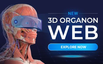New 3D Organon Web