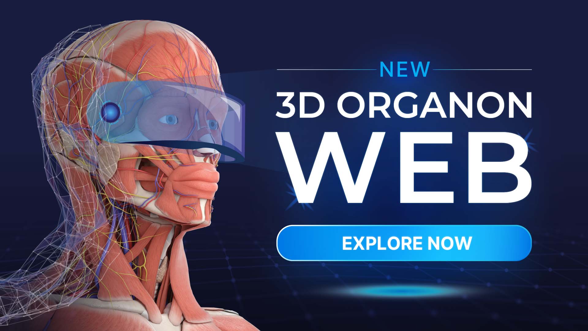 3D Organon Web