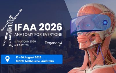 3D Organon at IFAA 2026