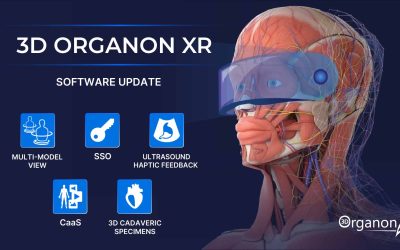 What’s New in 3D Organon XR?
