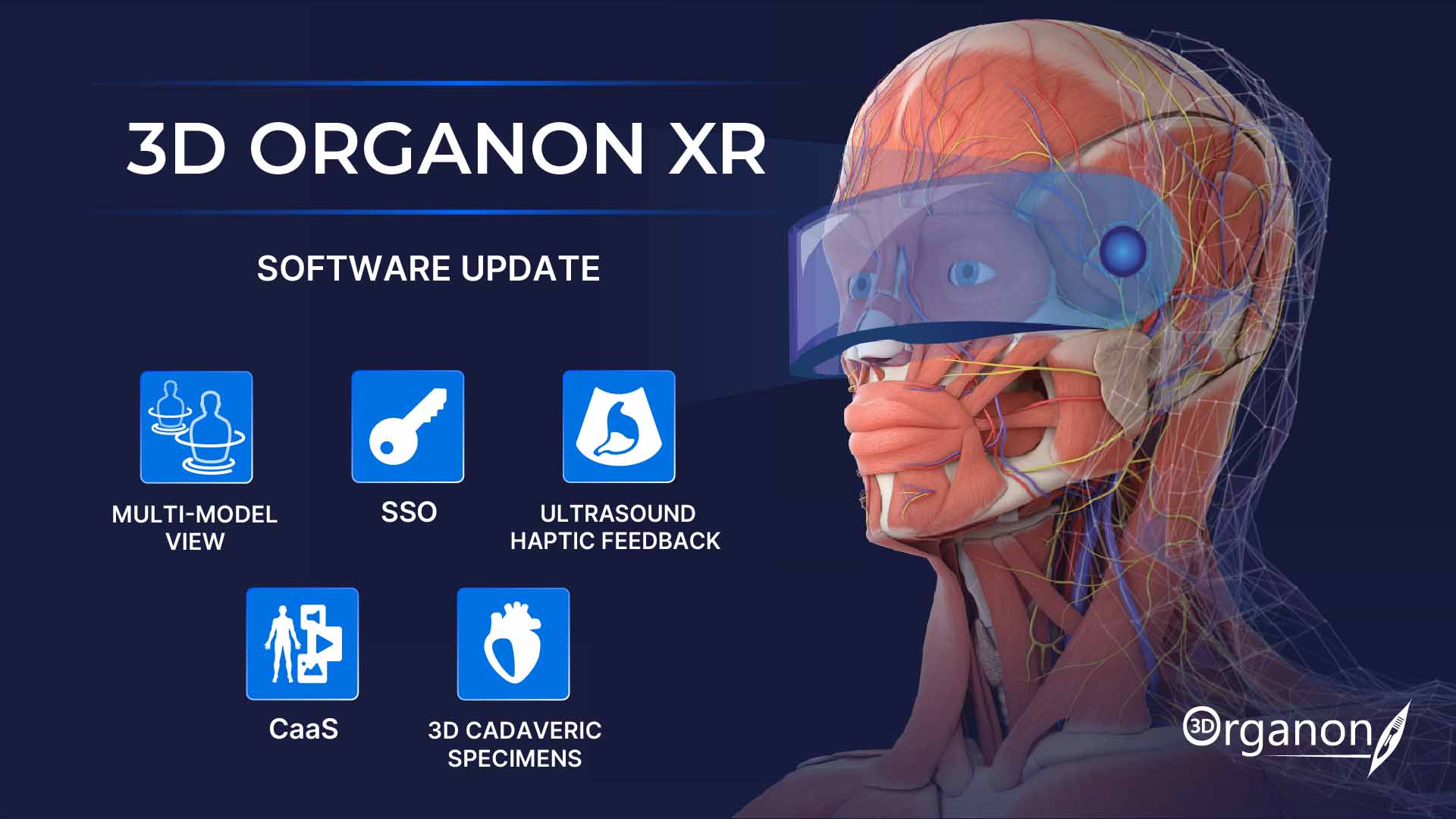 The latest 3D Organon XR update introduces new advanced features, including Multi-Model View, 3D Cadaveric Specimens, and Haptic Ultrasound. Explore the latest additions: 🔹 Multi-Model View — Work with multiple anatomical models and educational content simultaneously. 🔹 3D Cadaveric Specimens — Explore real specimens alongside 3D anatomical models. 🔹 Cloud Anatomy Content (CaaS) — Access a growing library of anatomical resources. 🔹 Single Sign-On (SSO) — Make access simpler with your organisation’s existing credentials. 🔹 Haptic Ultrasound Interactions — Experience tactile feedback for a more realistic ultrasound learning experience.