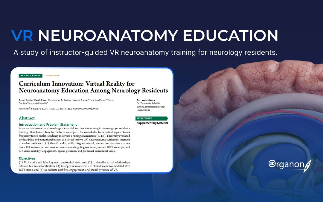 VR Neuroanatomy Education