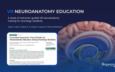 VR Neuroanatomy Education