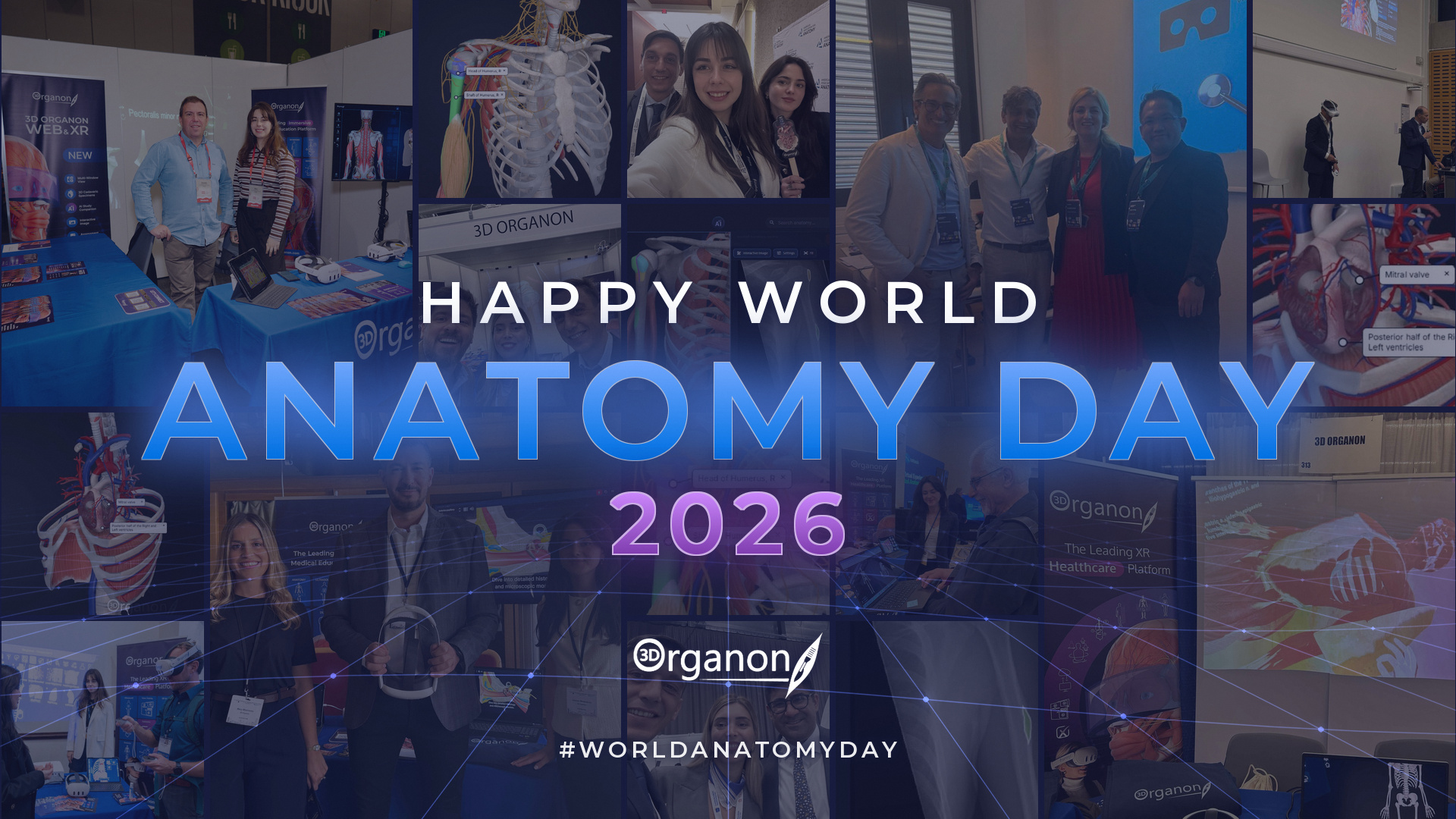 3D Organon Celebrates World Anatomy Day 2026 3D Organon Celebrates World Anatomy Day 2026